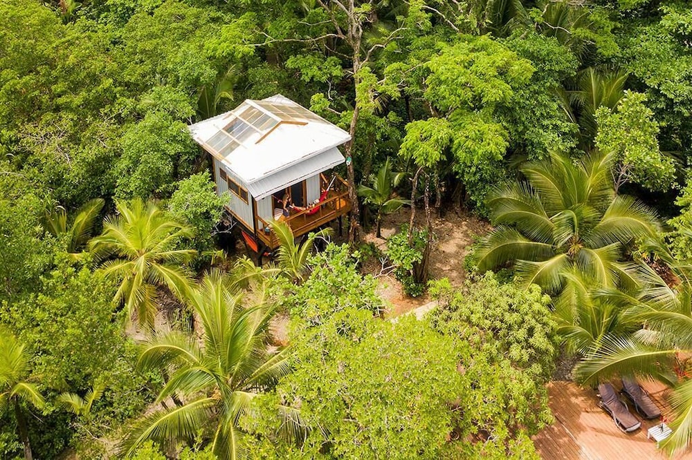 Tree House photo 2