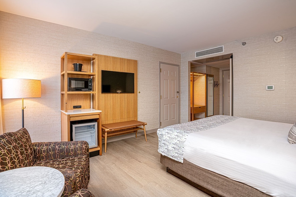 Basic Room, 2 Queen Beds photo 3