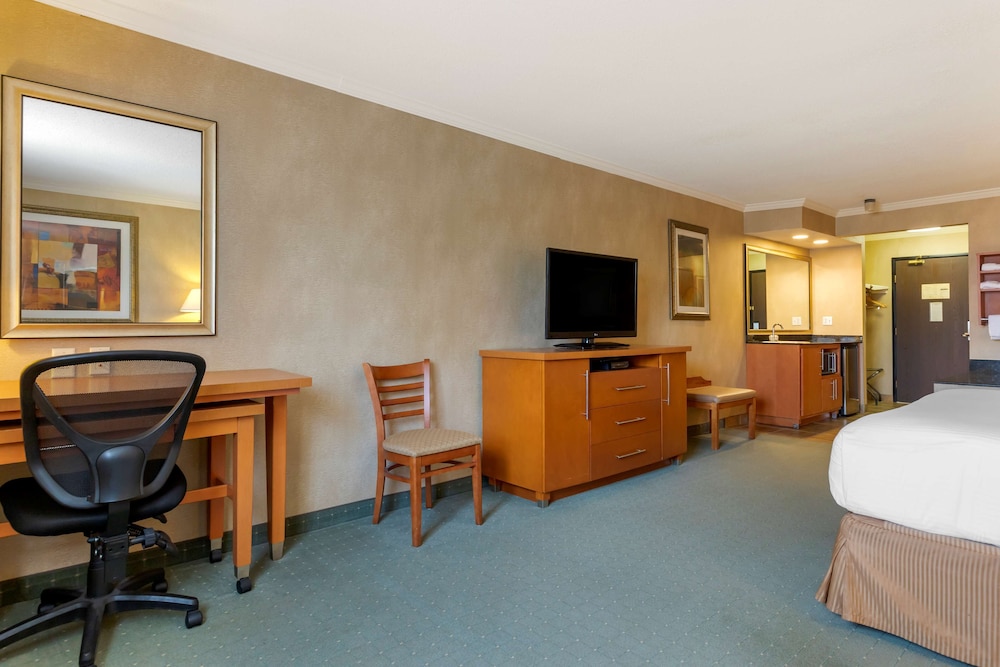 Suite, 1 King Bed, Non Smoking, Jetted Tub (with Sofabed) photo 1