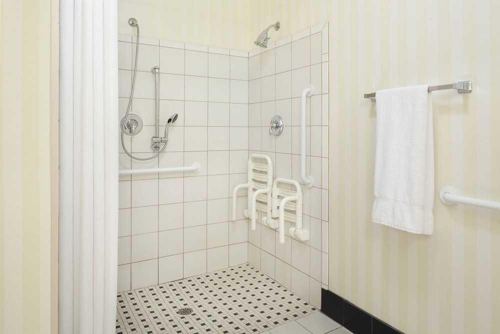 Room, 1 King Bed (Mobility/Hearing Access, Roll-In Shwr) - Photo 5