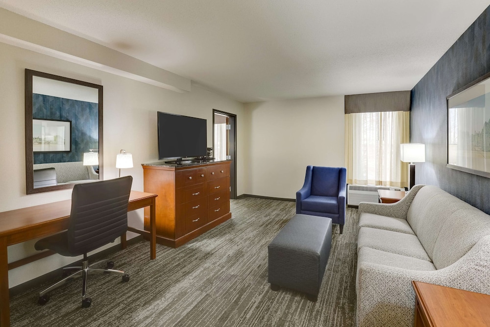 Suite, 1 King Bed with Sofa bed, Refrigerator & Microwave (2 Rooms)