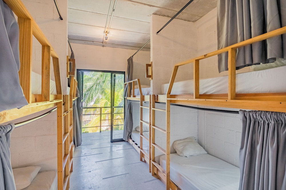 16 Bed Mixed Dorm photo 2