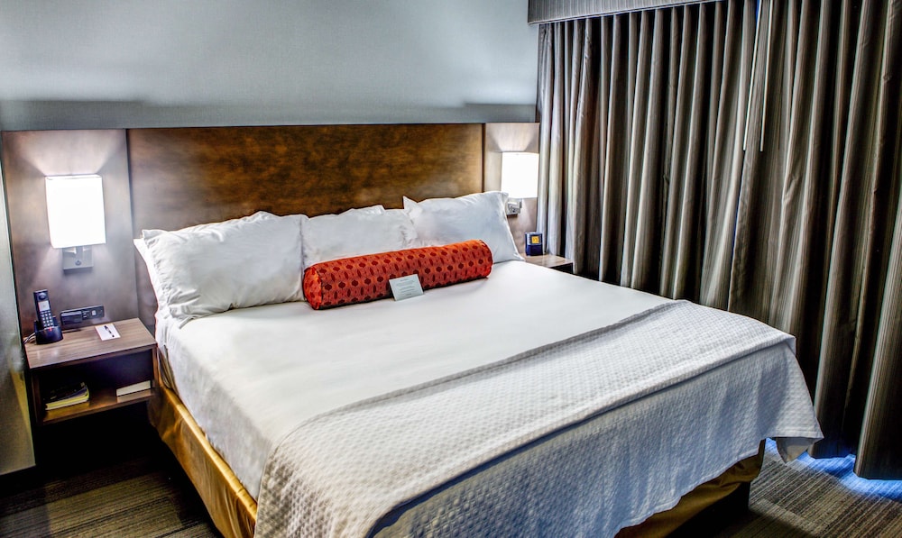 Studio Suite, 1 King Bed with Sofa bed, Corner