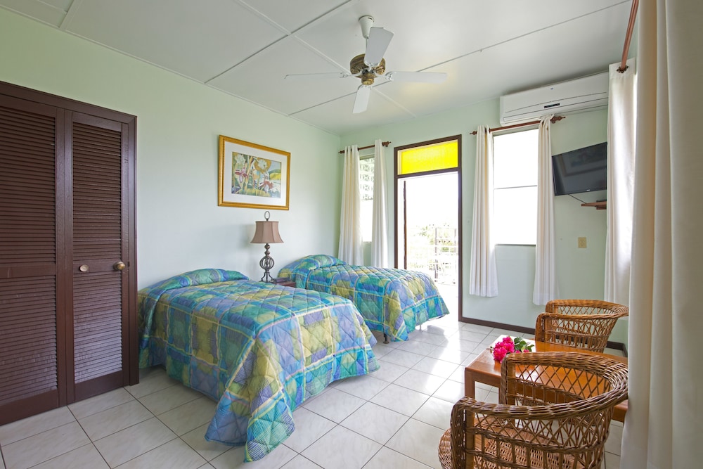 Deluxe Studio, 2 Twin Beds