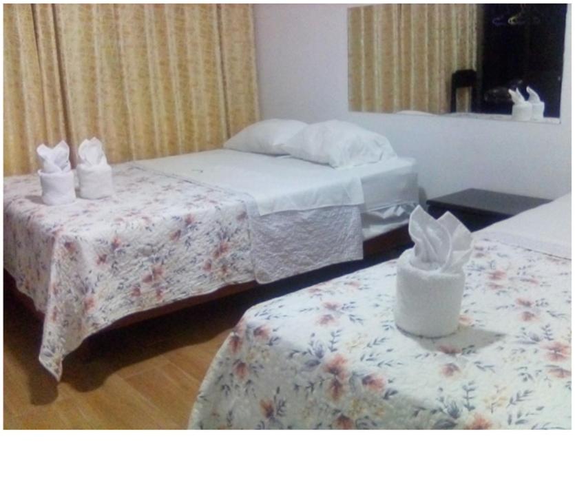 Small Twin Room photo 1