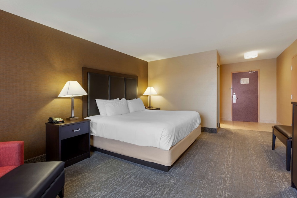 Executive Room, 1 King Bed, Non Smoking, Refrigerator & Microwave (Shower Only)