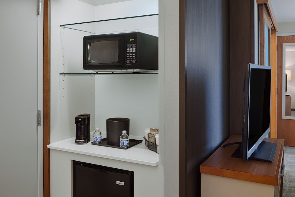Studio, Multiple Beds (Mobility/Hearing Access, Roll-in Shwr) photo 3