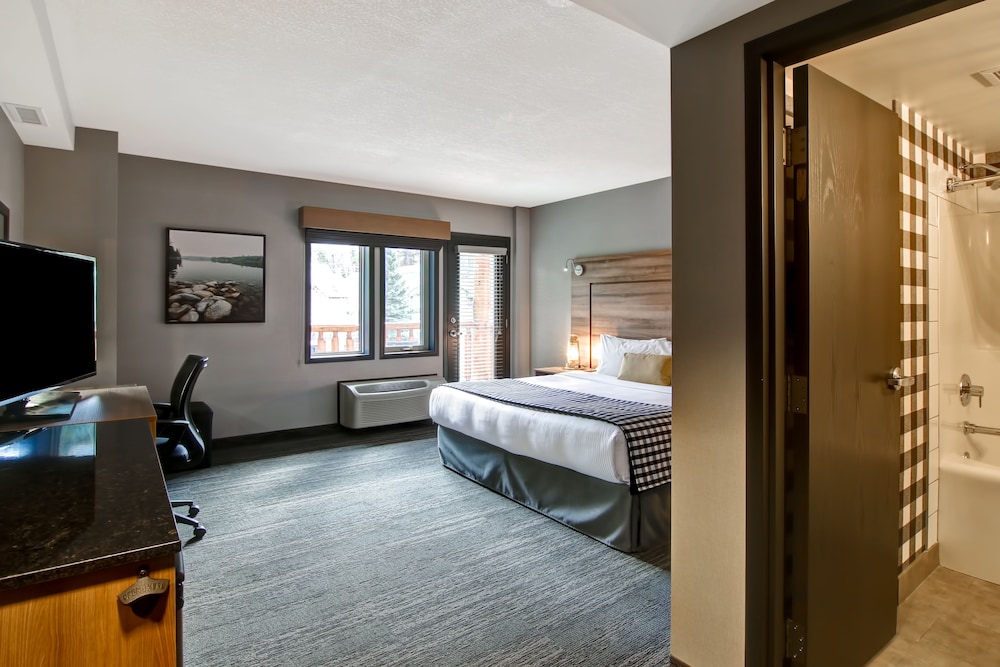 Room, 1 King Bed