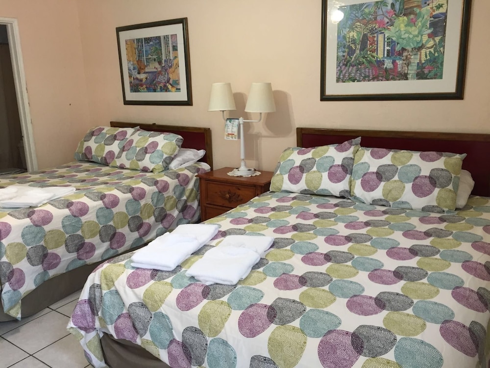 Studio, 2 Double Beds photo 3