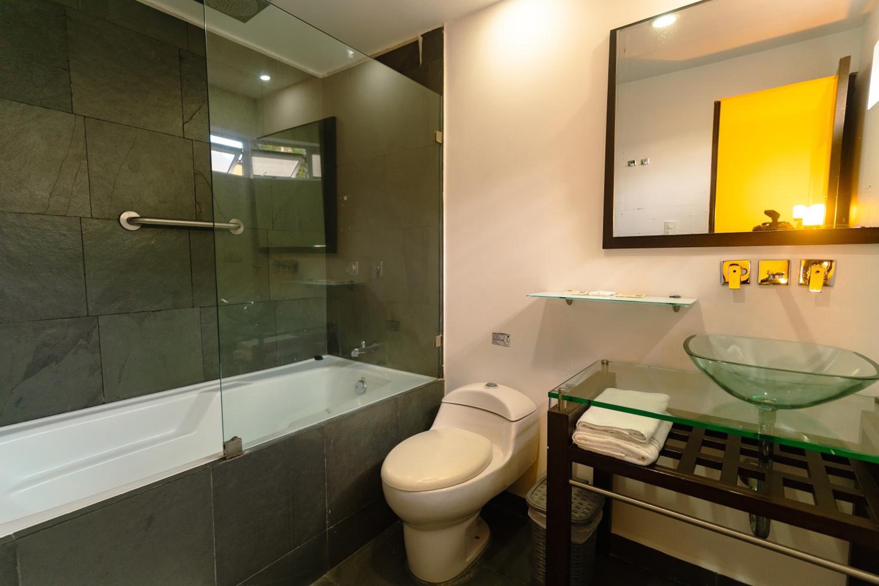 Deluxe King with Bathtub photo 2