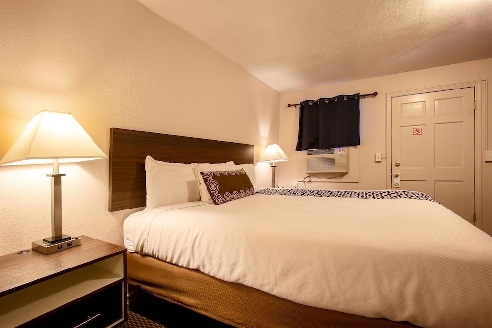 Deluxe Single Room, 1 King Bed, Non Smoking photo 3