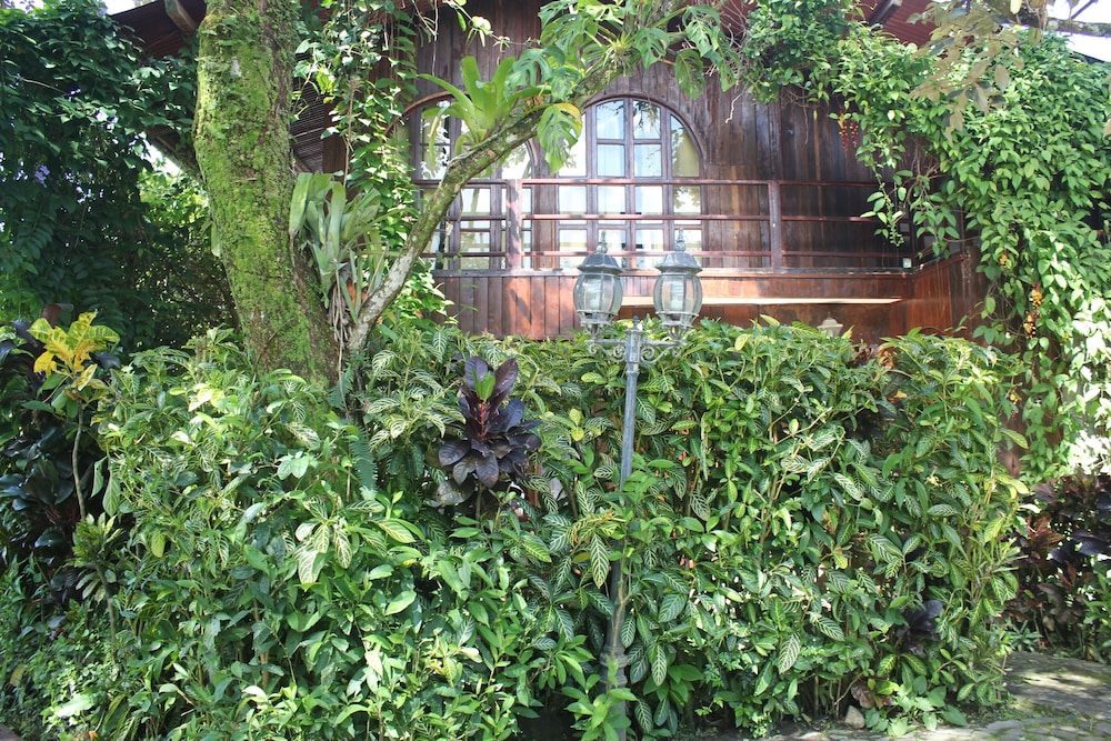 Cabin photo 1