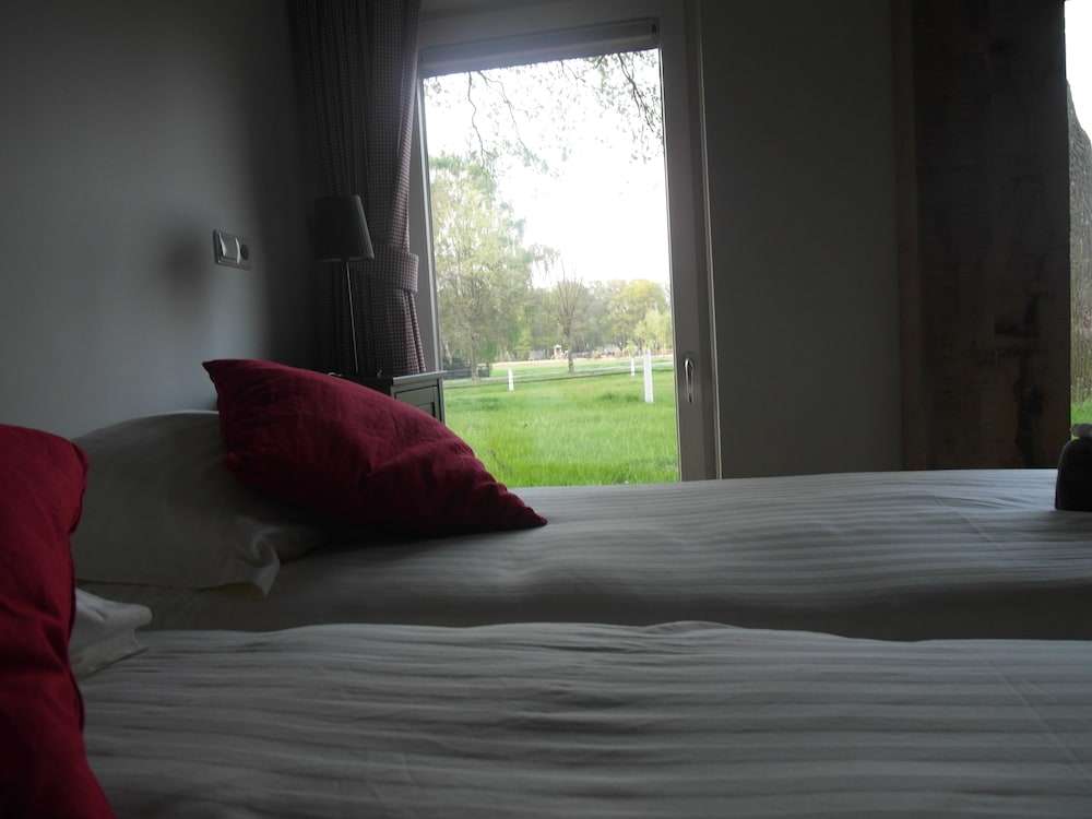 Junior Room, 2 Twin Beds photo 2