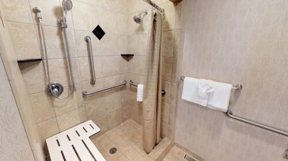 Suite, 1 King Bed, Accessible, Non Smoking (with Sofabed) - Photo 5
