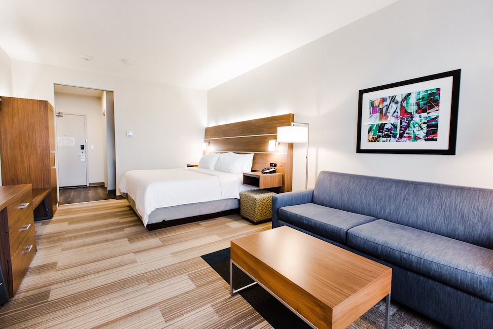 Suite, 1 King Bed (Walk-In Shower)