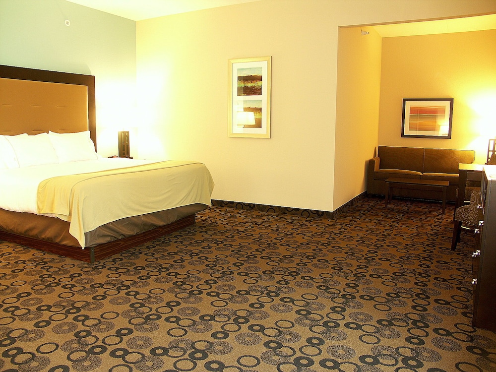 Suite, 1 King Bed (Extra Floor Space) photo 2