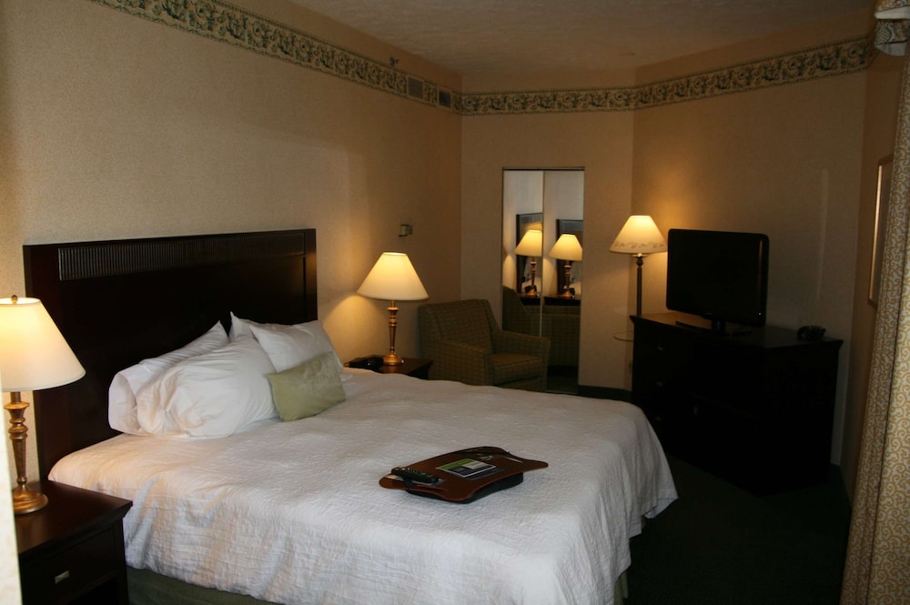 Suite, 1 King Bed, Non Smoking - Photo 1