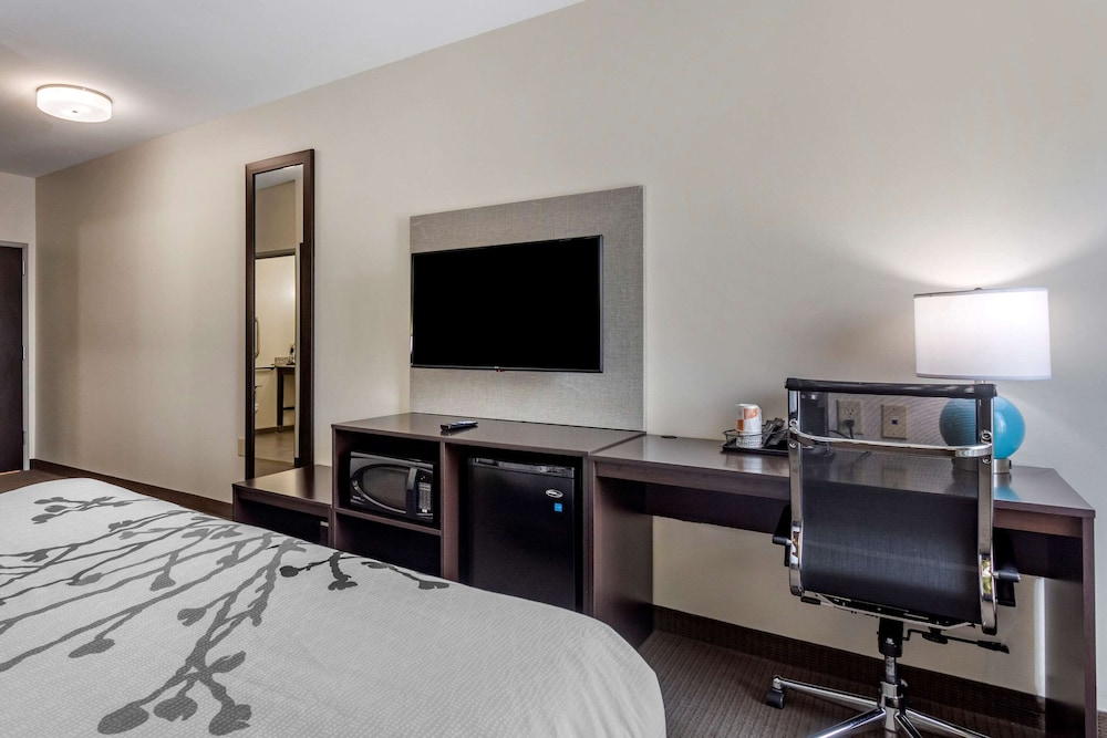 Room, 1 King Bed, Accessible, Non Smoking - Photo 3