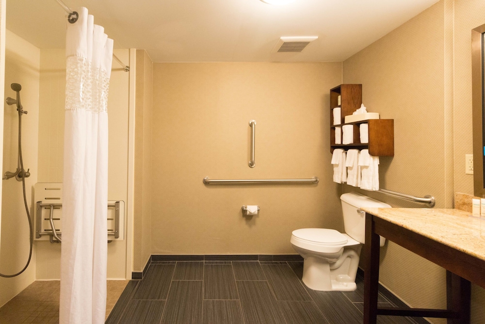 Room, 1 King Bed, Accessible, Non Smoking (Roll-in Shower) - Photo 4