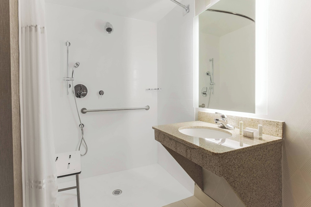 Studio Suite, 1 King Bed with Sofa bed (Mobility/Hearing Access, Roll-in Shwr)