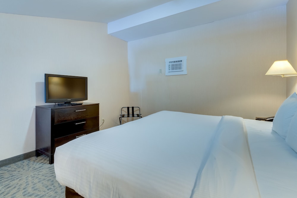 Premium Duplex, 1 King Bed with Sofa bed photo 1