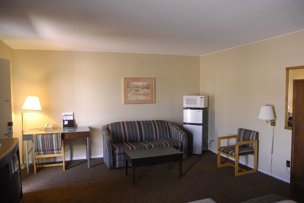 Basic Suite, 1 King Bed with Sofa bed