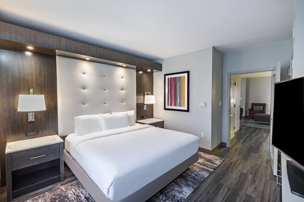 Room, 1 King Bed, Non Smoking photo 1