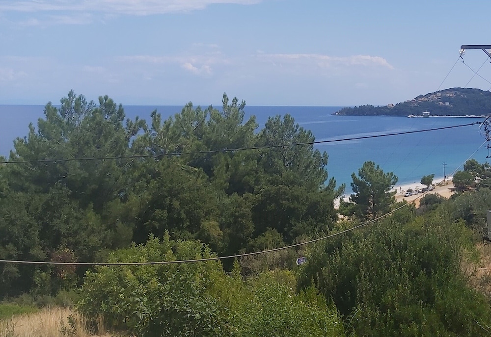 Apartment, 1 Bedroom, Sea View photo 2