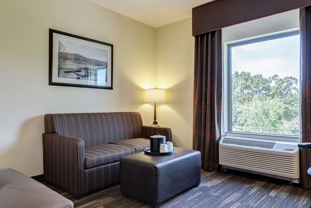 Room, 1 King Bed with Sofa bed, Accessible, Non Smoking (Bathtub)