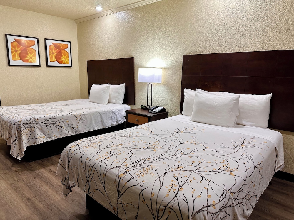 Standard Room, 2 Double Beds, Smoking - Photo 15
