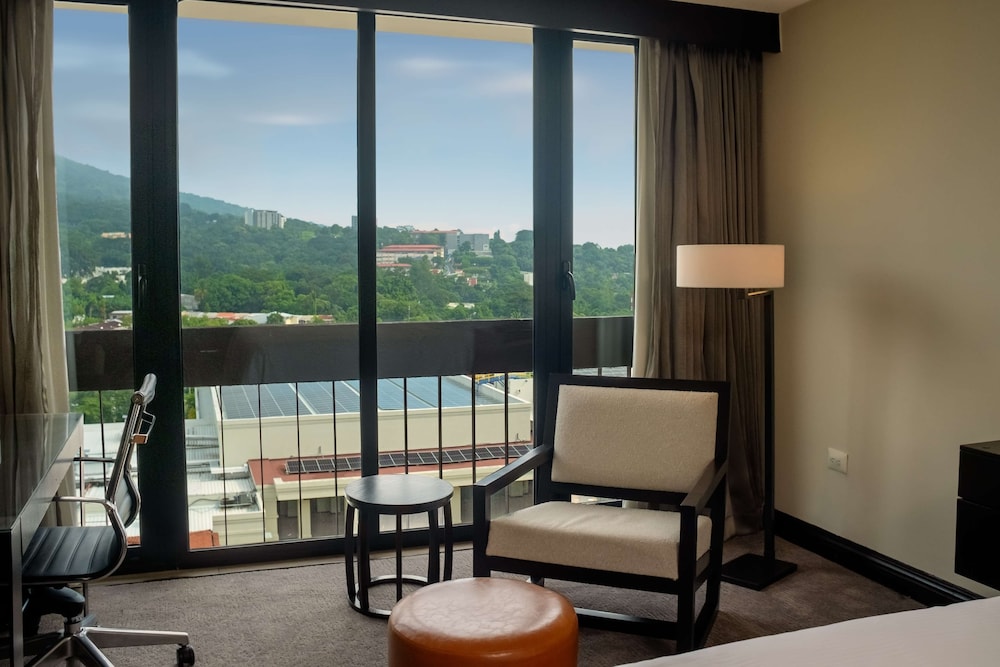 Suite, 1 Bedroom - Photo 1