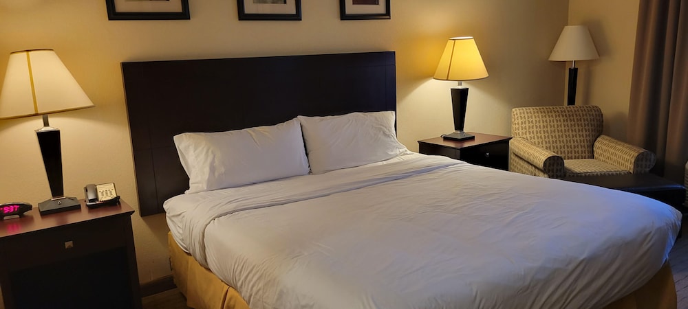 King Two Room Suite photo 1