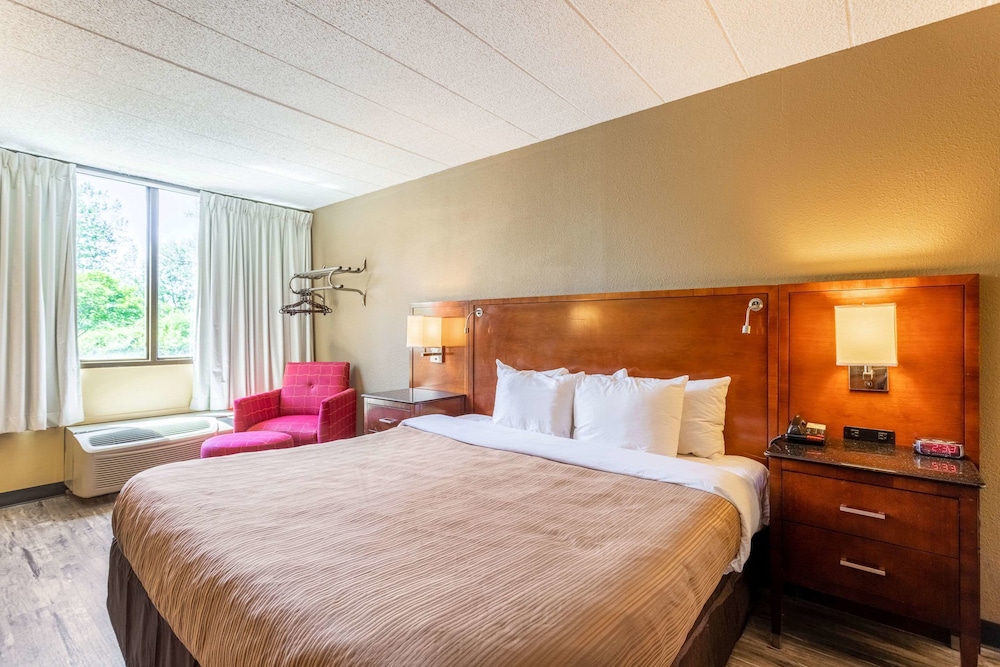 Room, 1 King Bed, Non Smoking (Efficiency)
