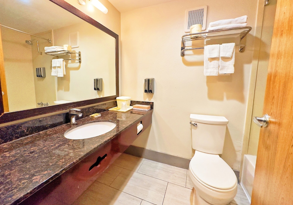 Single Room, Non Smoking - Photo 12