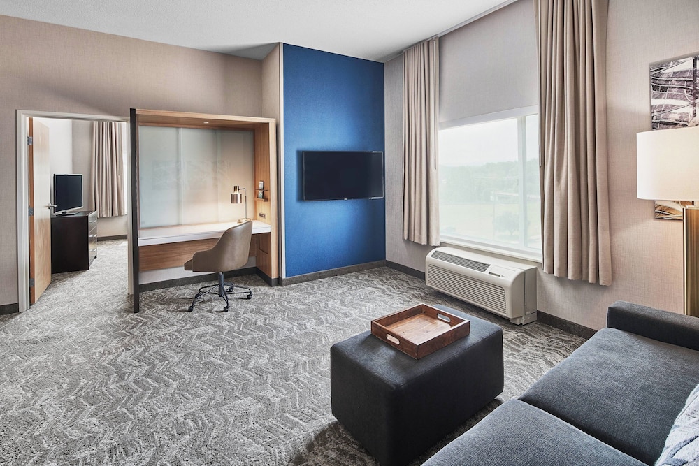 Suite, 1 Bedroom at SpringHill Suites by Marriott Roanoke in Roanoke