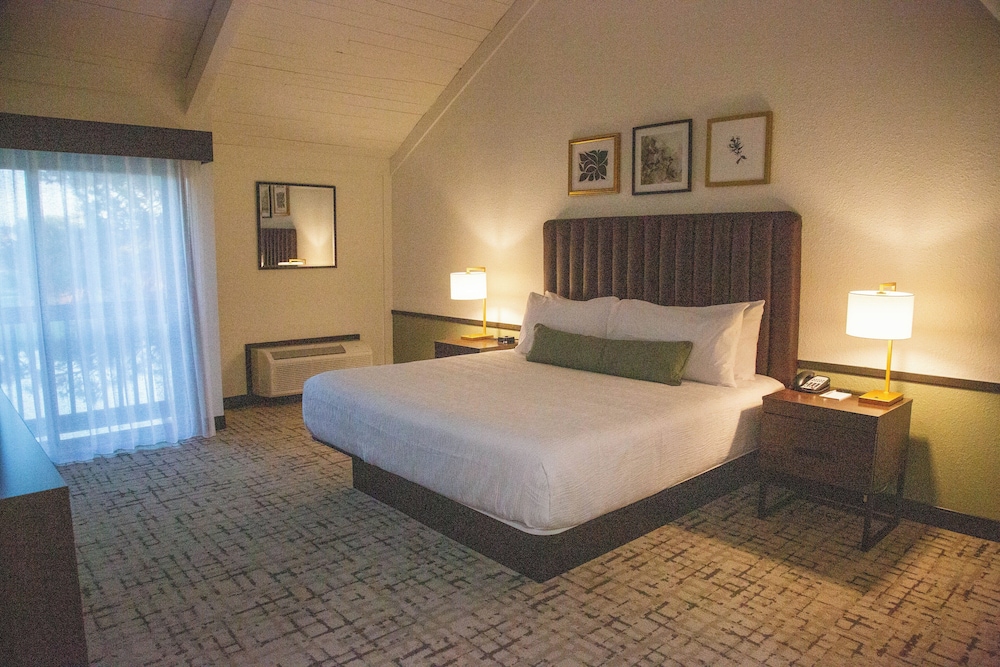 Classic Room, 1 King Bed, Non Smoking photo 1