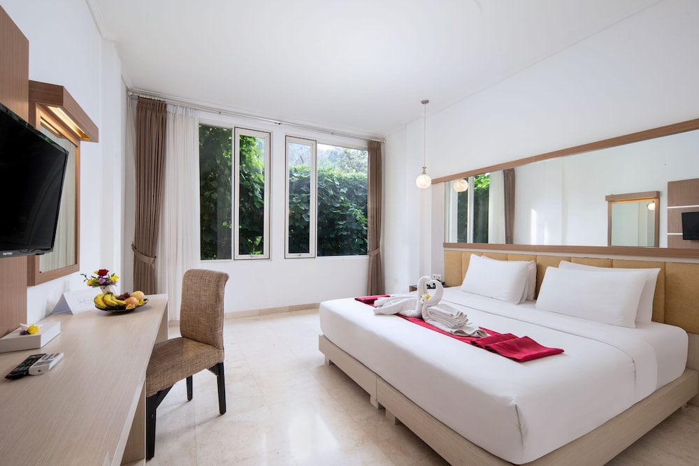 Deluxe Room photo 2