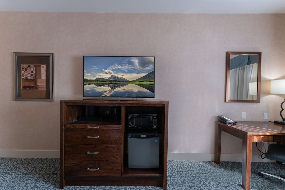 Standard Room, 1 Queen Bed, Accessible, Refrigerator & Microwave (Pet Friendly;with Sofabed) photo 3