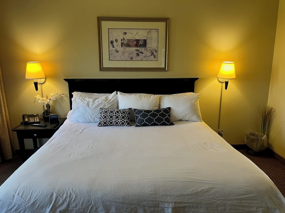 Single Room, City View photo 1