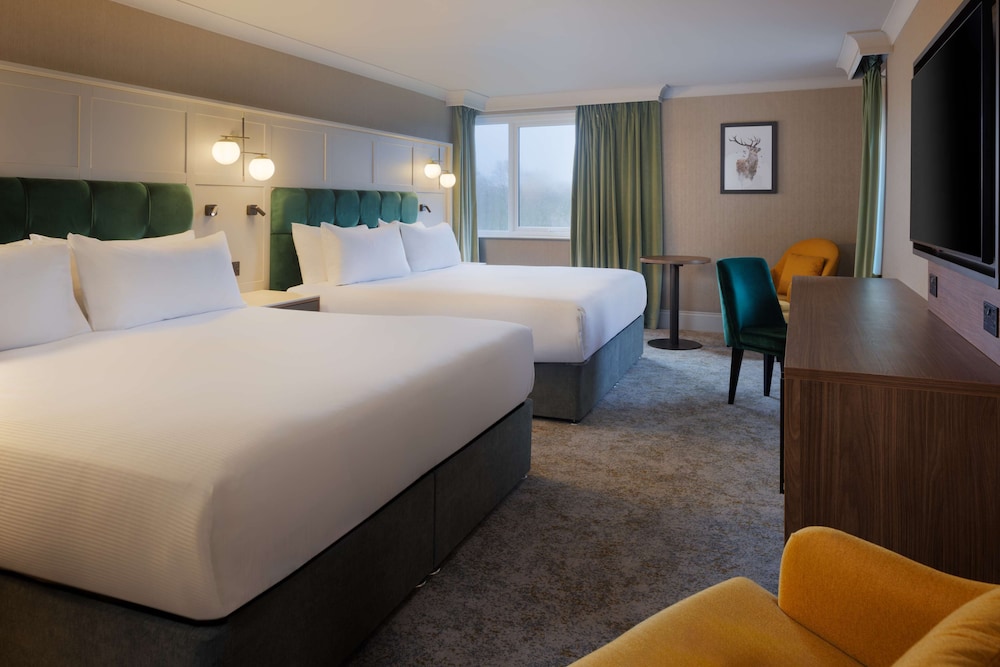 Room, Multiple Beds