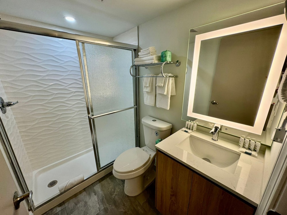Suite, 1 King Bed with Sofa bed, Non Smoking photo 2