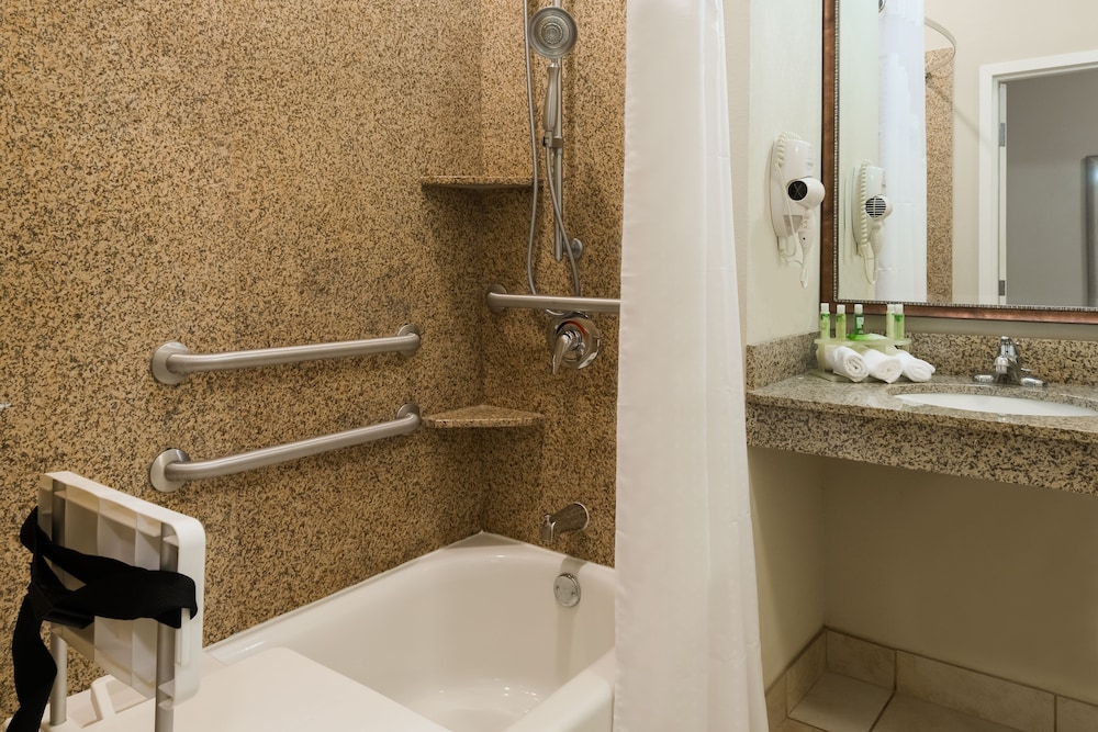 Room, 1 King Bed, Accessible (Mobility, Accessible Tub) - Photo 3