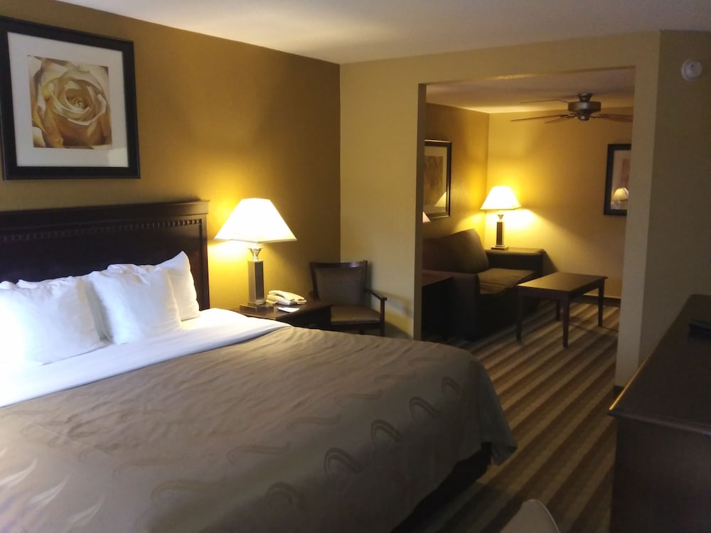 Suite, 1 King Bed with Sofa bed, Non Smoking - Photo 4