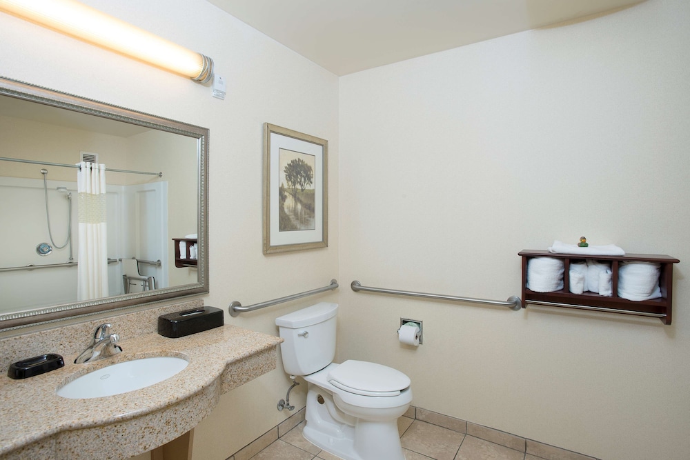 Room, 1 King Bed, Accessible - Photo 5