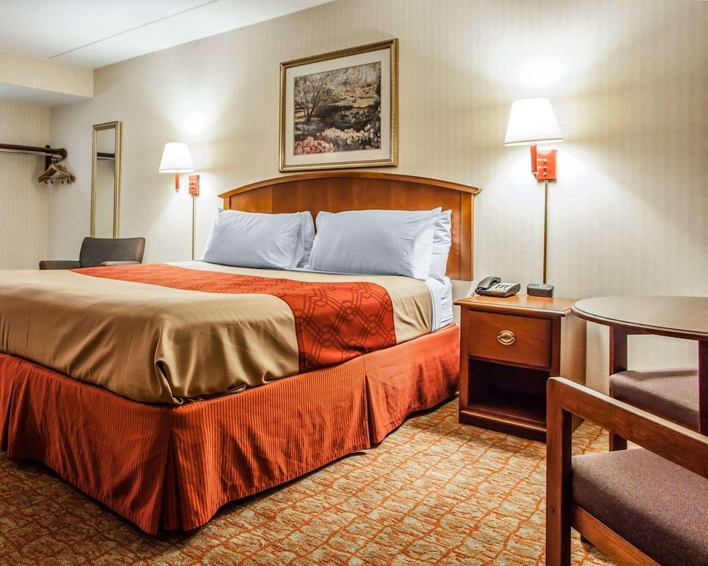 Standard Room, 1 King Bed, Non Smoking - Photo 3