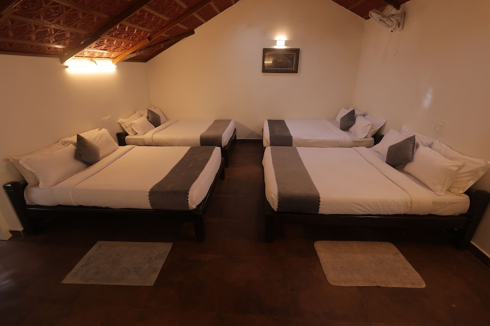 Standard Shared Dormitory photo 1