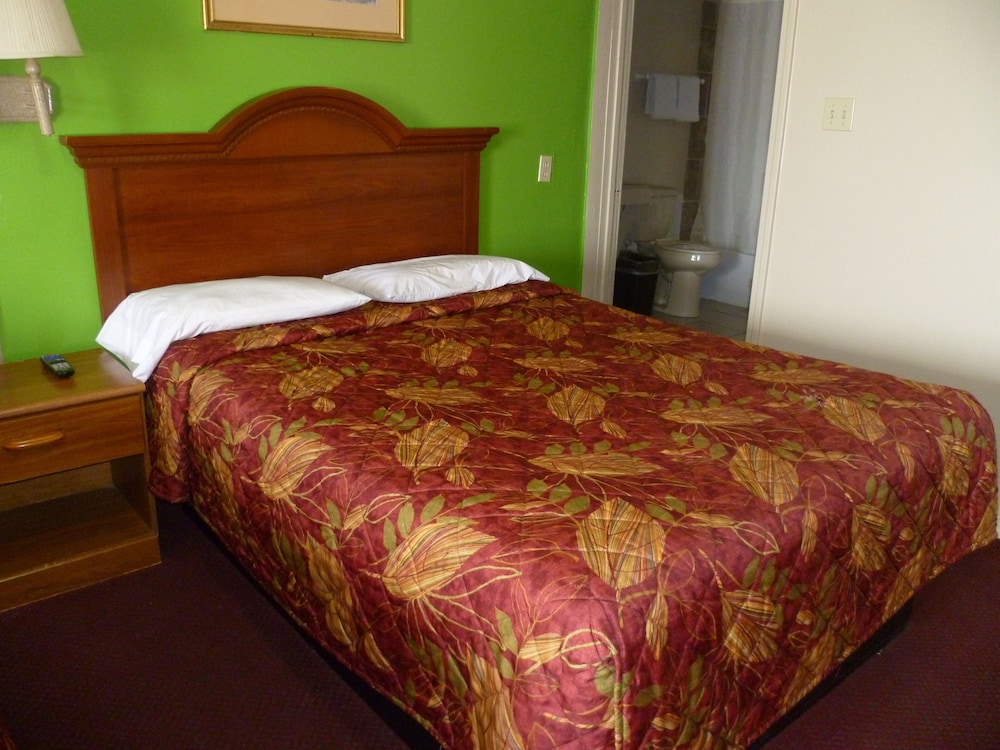 Single Room photo 3