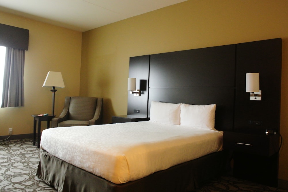 Standard Room, 1 King Bed, Non Smoking, Refrigerator - Photo 2