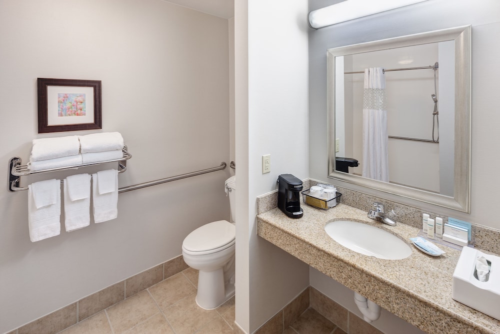 Room, 1 King Bed, Accessible, Non Smoking (Roll-in Shower) - Photo 7