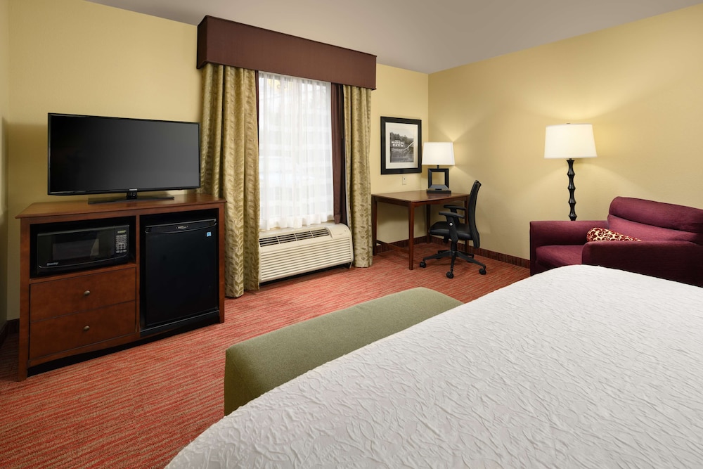 Room, 1 King Bed, Accessible photo 3